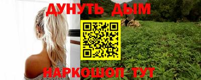 молекула духа Будённовск