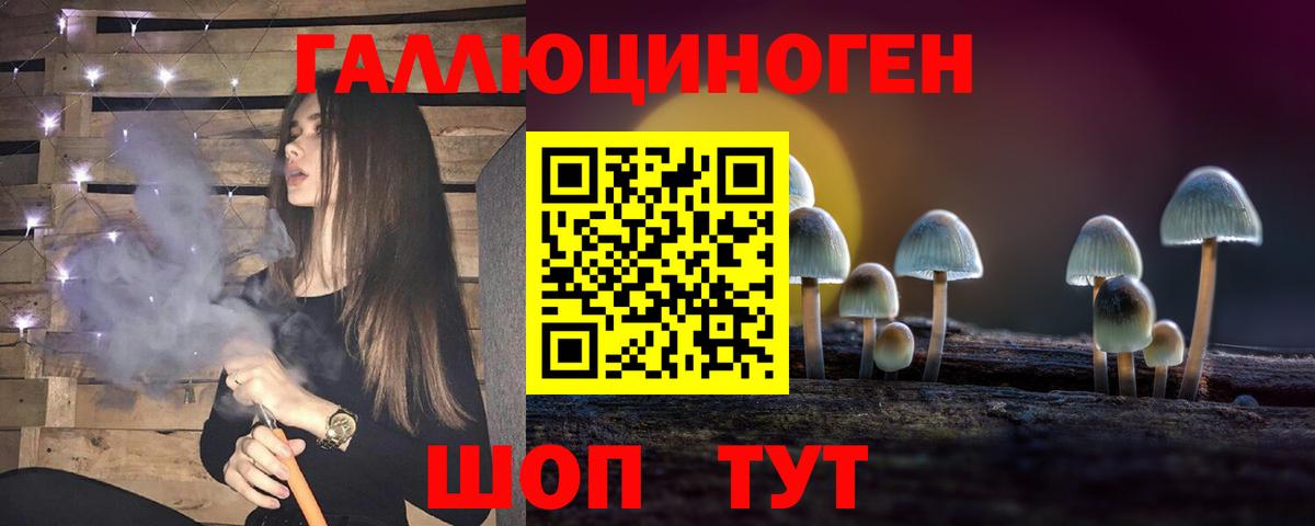 Галлюциногенные грибы Psilocybine cubensis  Вход с VPN  Мончегорск 