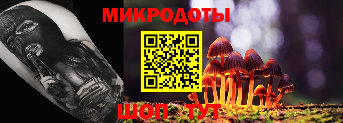 Галлюциногенные грибы Psilocybe Мончегорск