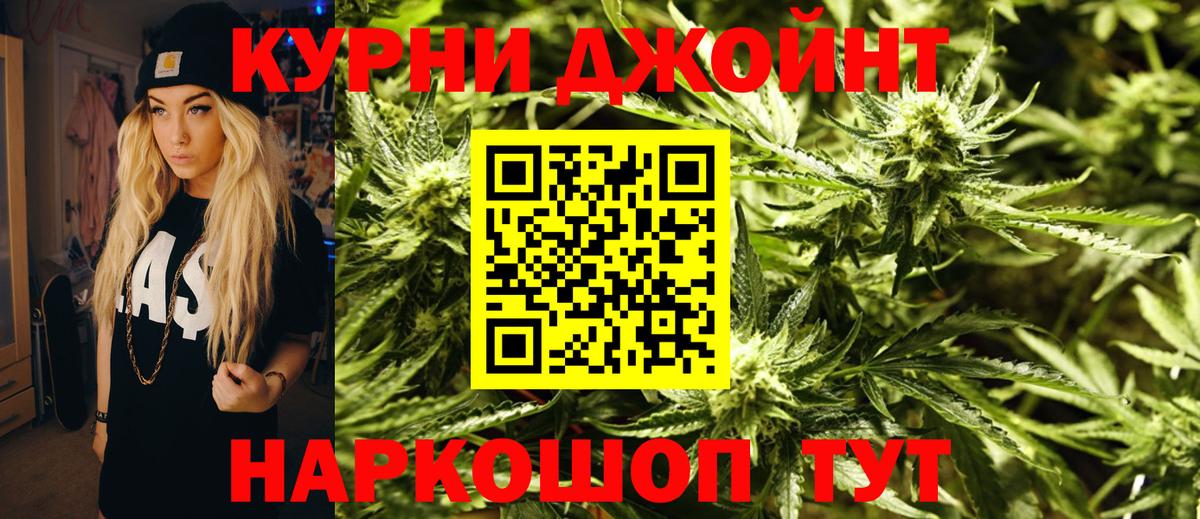 Конопля гибрид Мончегорск